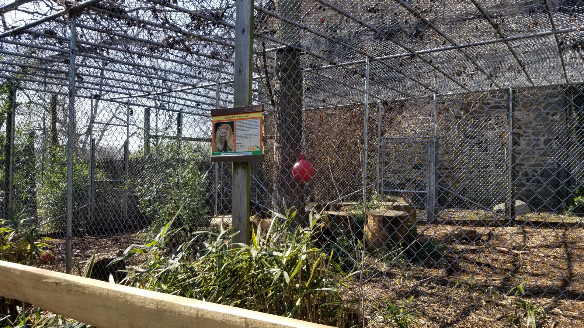 Plumpton Park Zoo - Left side of cougar enclosure