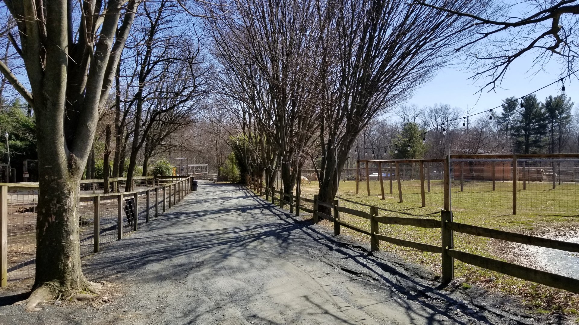 Plumpton Park Zoo - path