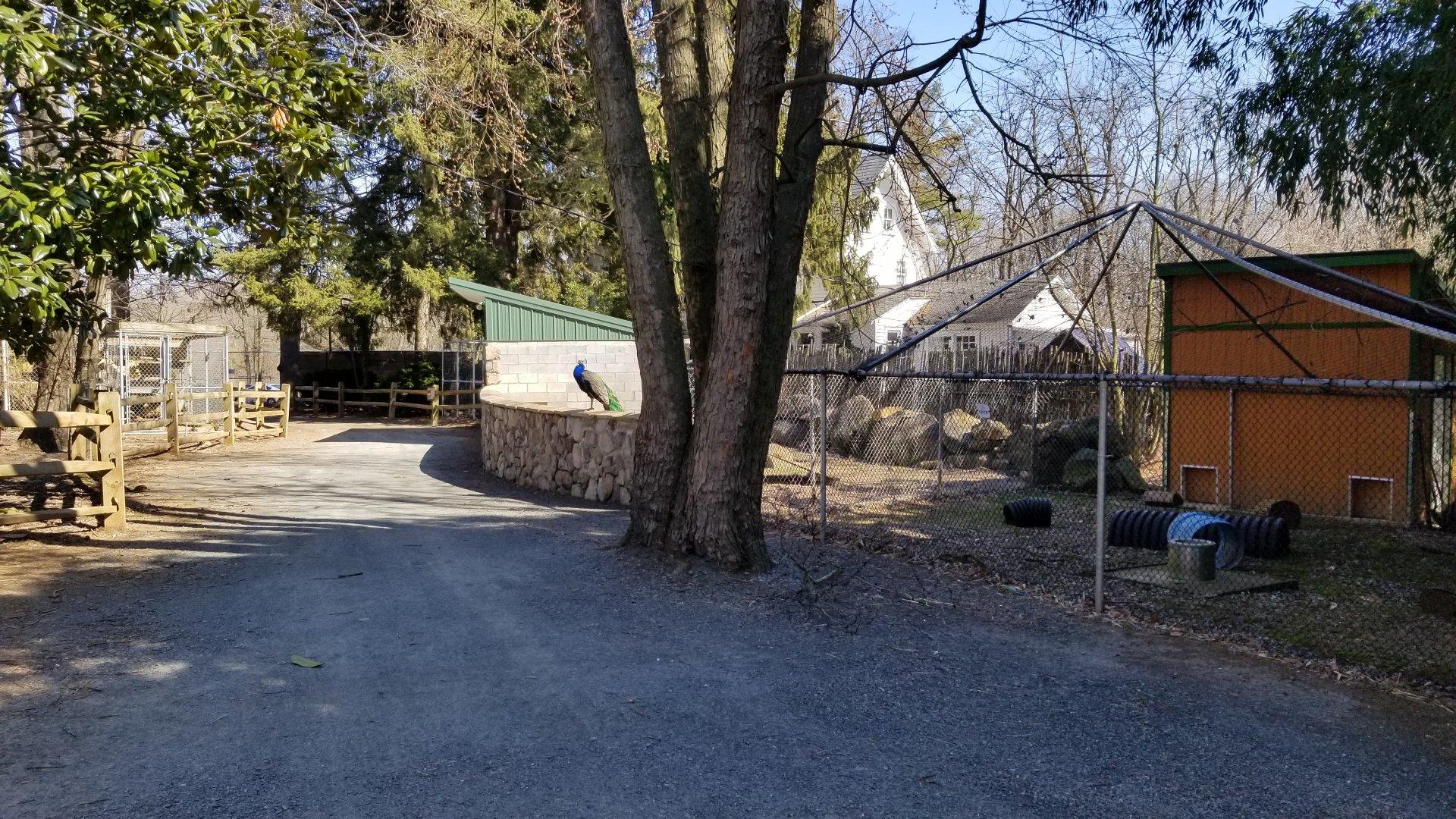 Plumpton Park Zoo - Pathway to bobcat, fox, etc
