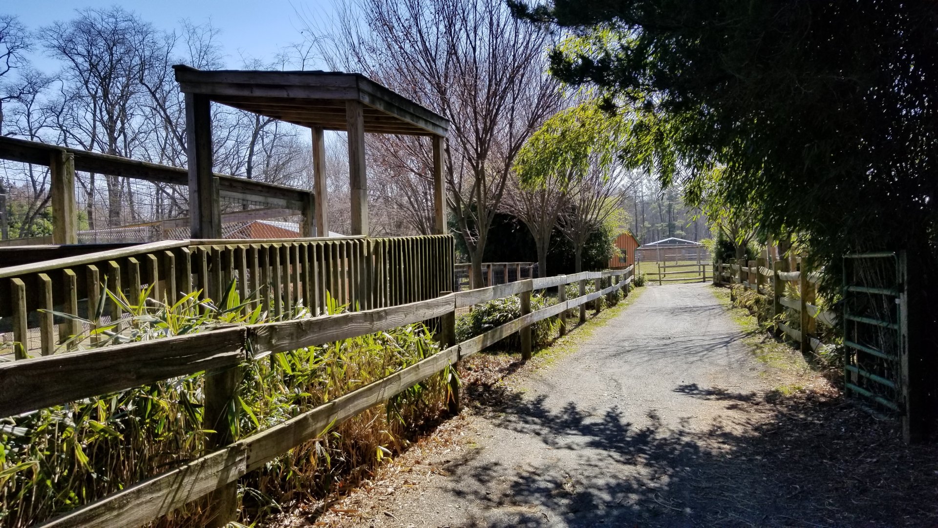 Plumpton Park Zoo - View facing other direction from gate