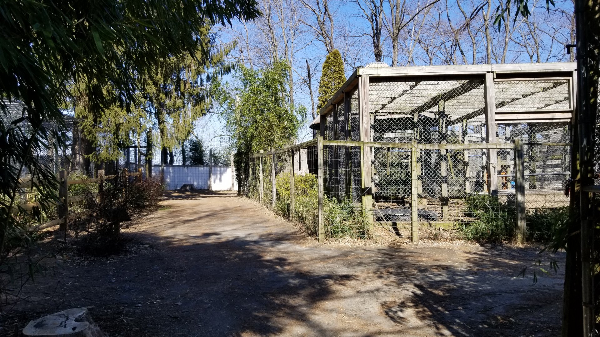 Plumpton Park Zoo - View from inside of exit/entrance to area gate