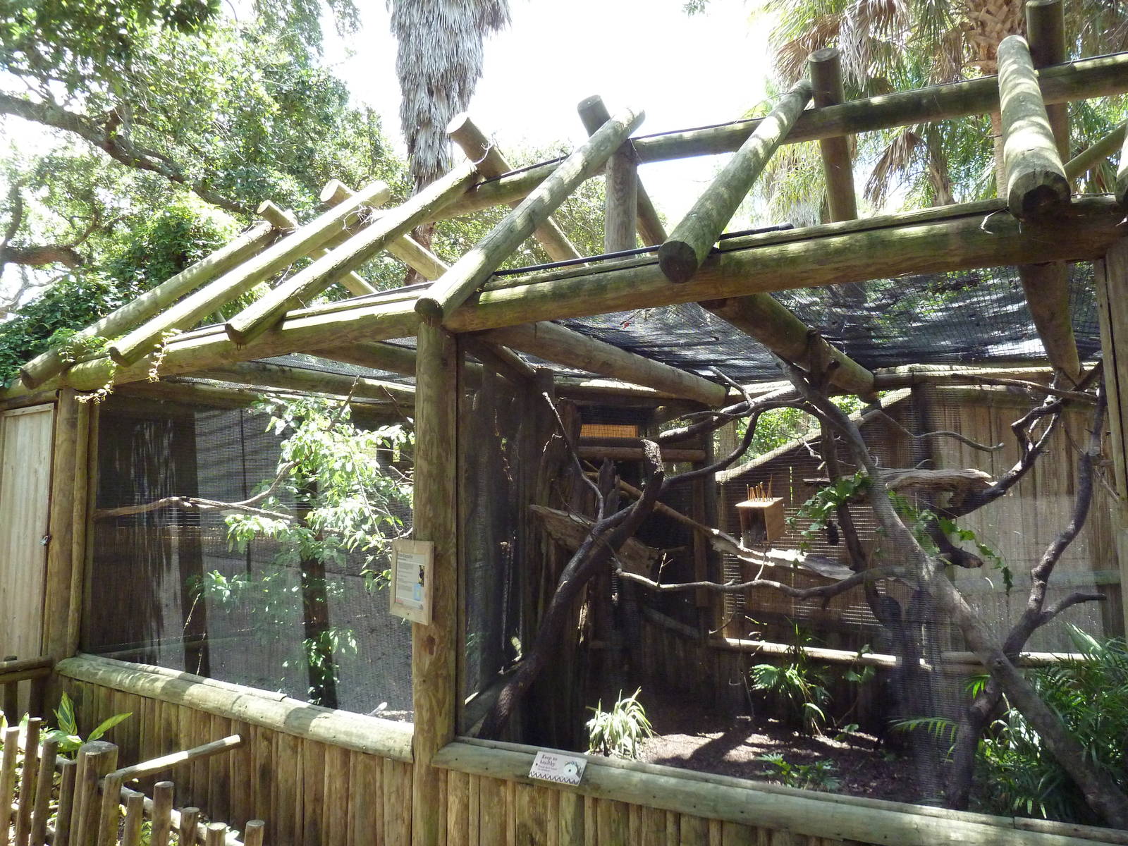 Plush-Crested Jay + Goeldi's Monkey Exhibits