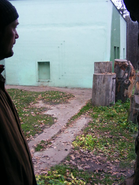 Plzen November 2012 - enlarged chimp outdoor enclosure