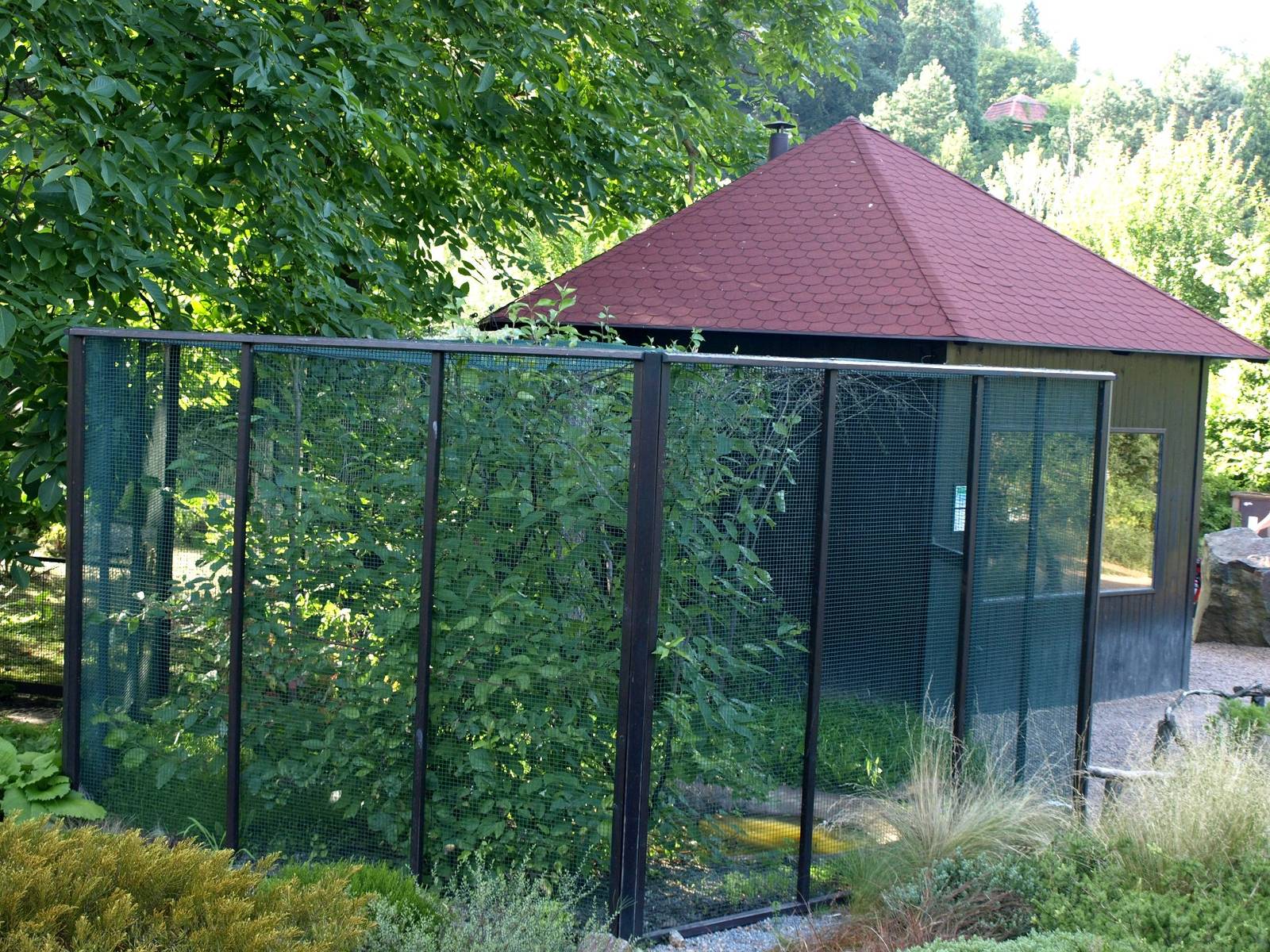 Plzen Zoo - Australian aviary