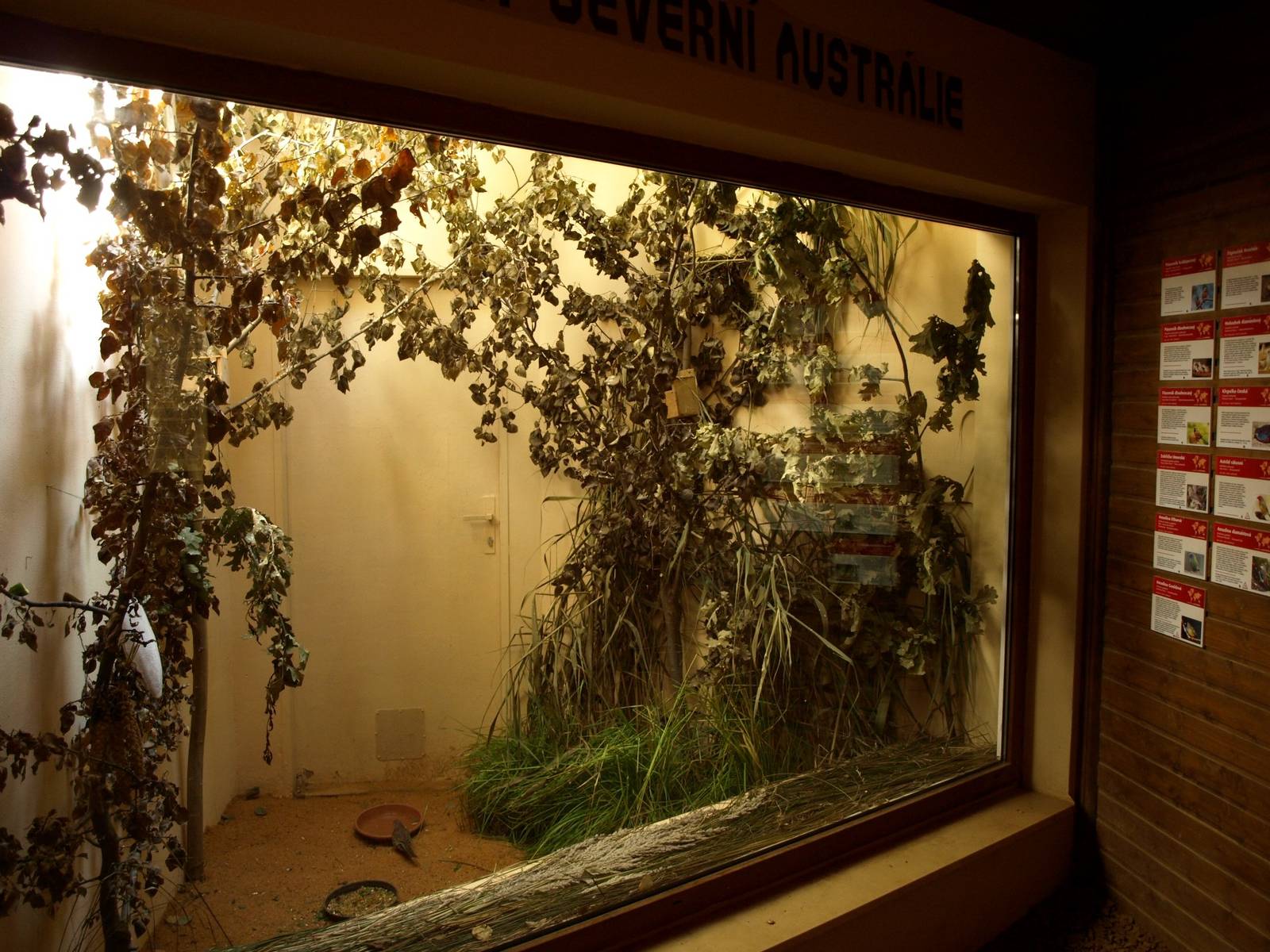 Plzen Zoo - Australian House