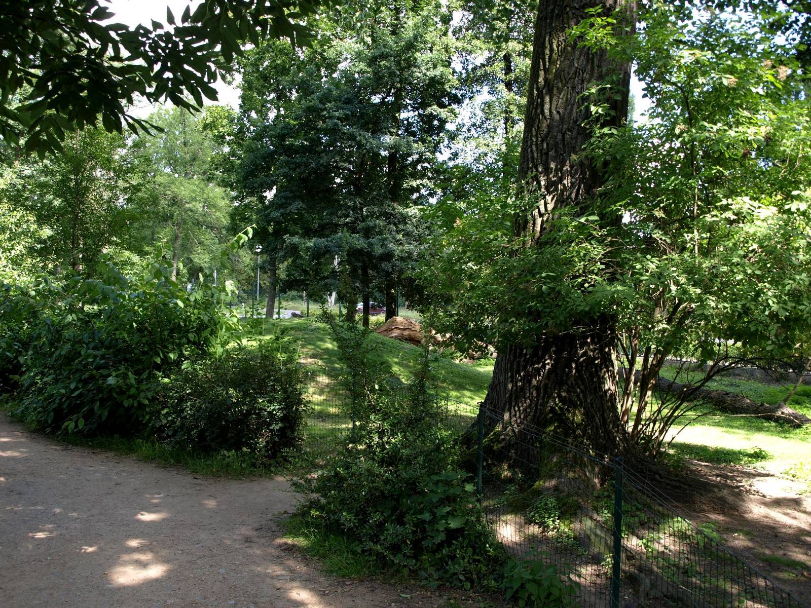 Plzen Zoo - Wallaby exhibit