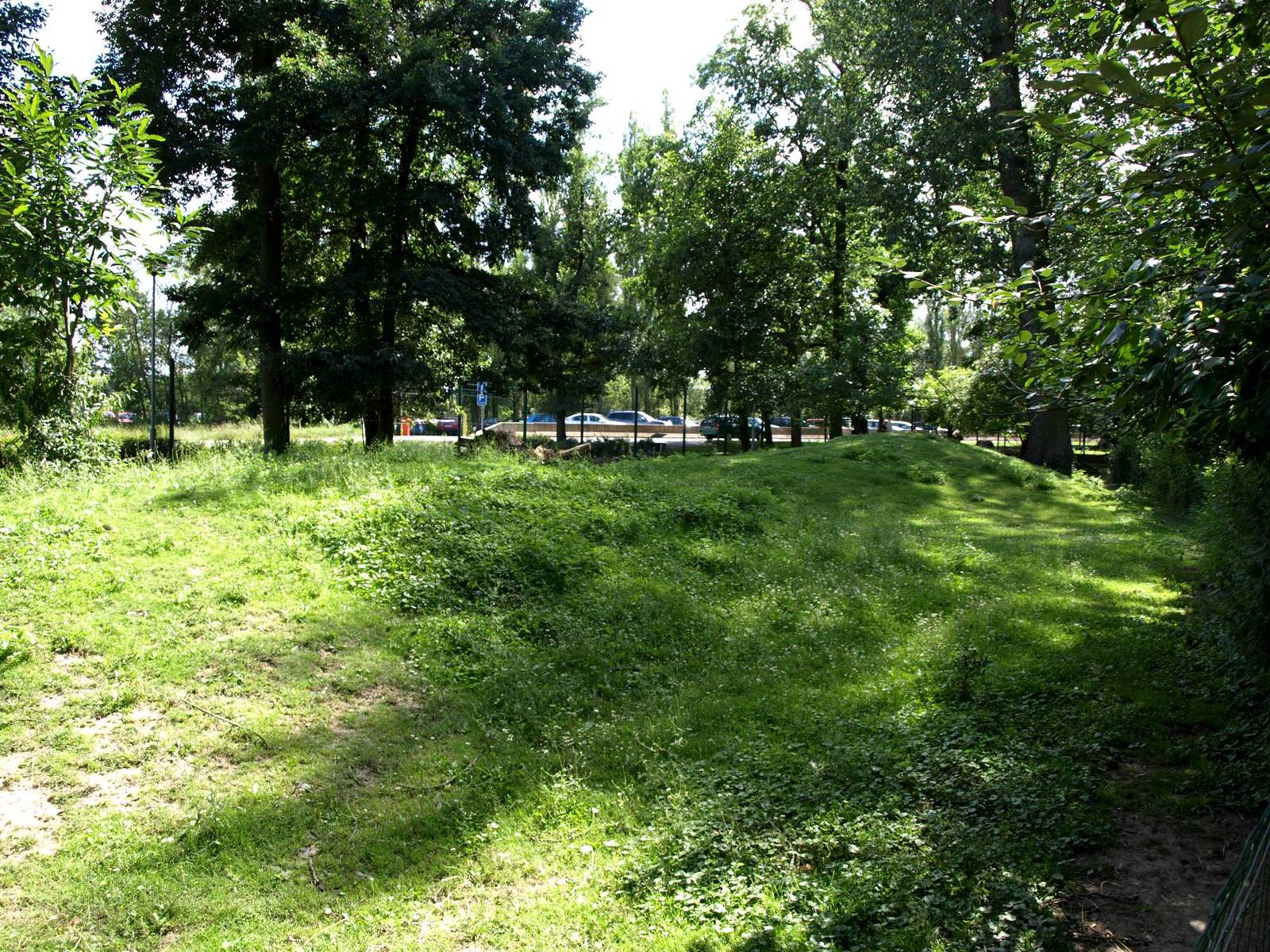Plzen Zoo - Wallaby exhibit