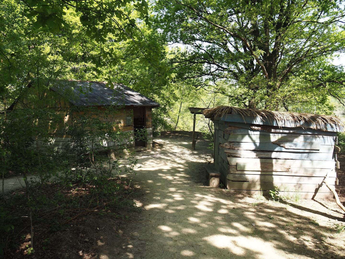 Poachers' camp theming and education area, 2025-04-30