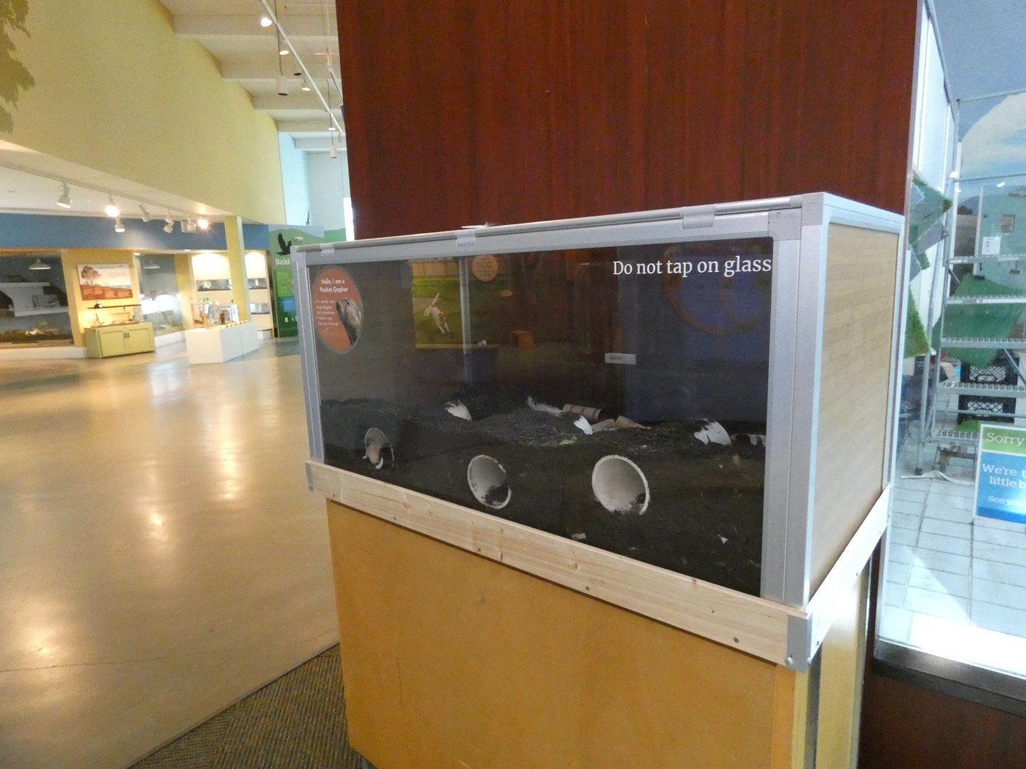 Pocket gopher enclosure