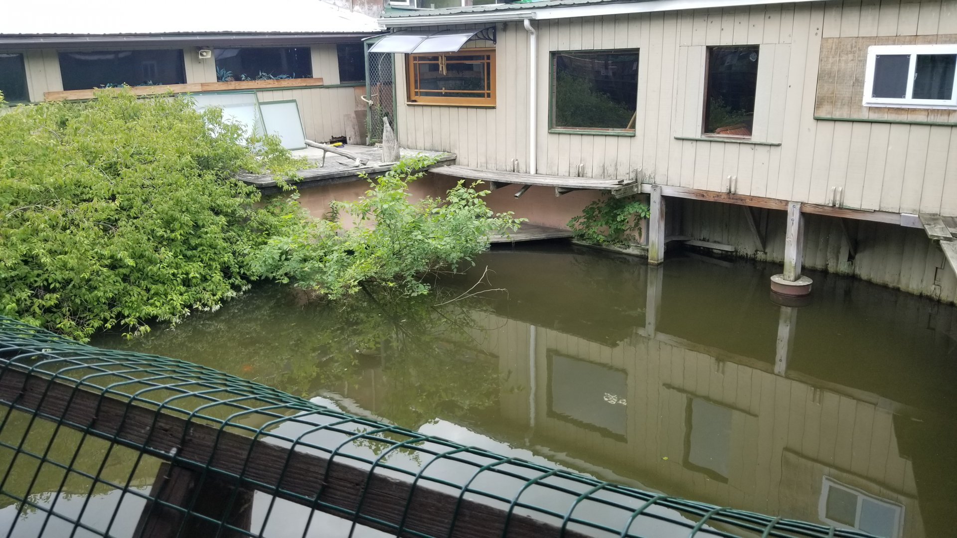 Pocono Snake&Animal Farm - Alligator & Turtle pond