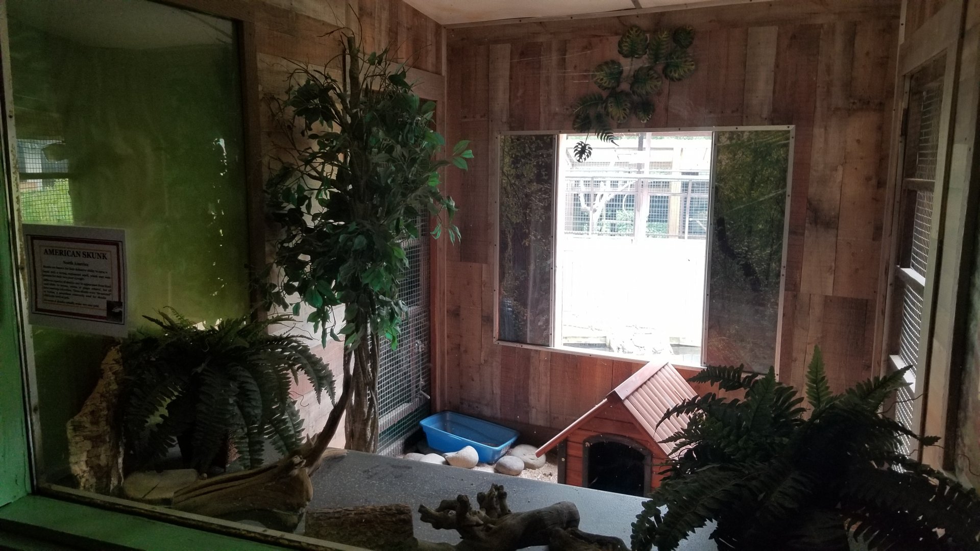 Pocono Snake&Animal Farm - "American Skunk" (striped)