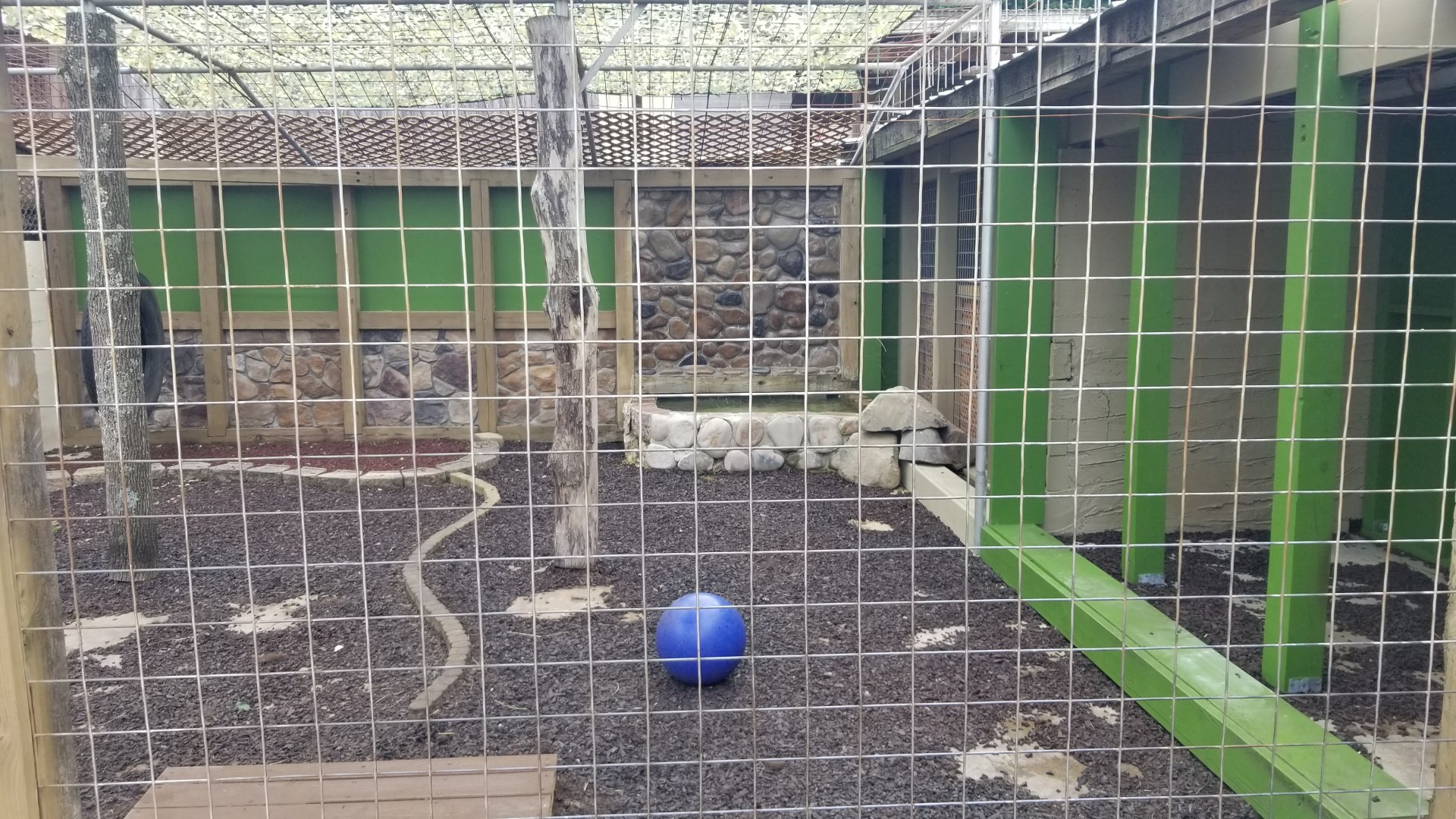 Pocono Snake&Animal Farm - Black bear, right side