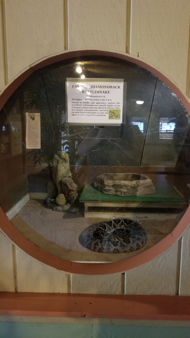 Pocono Snake&Animal Farm - Eastern Diamondback