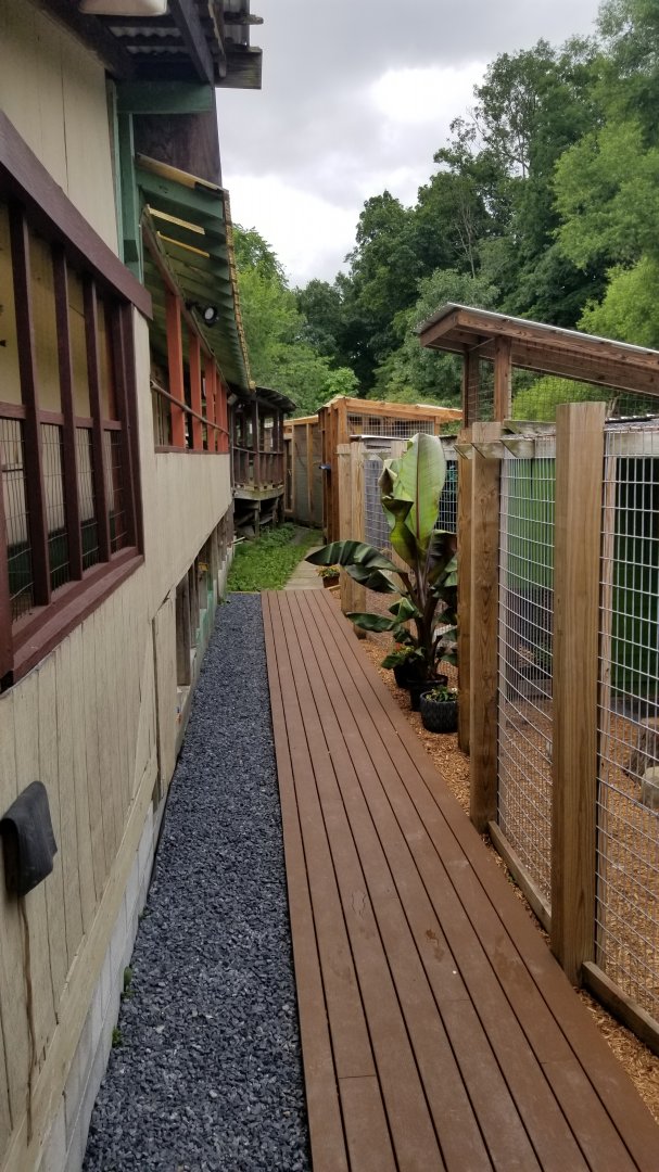 Pocono Snake&Animal Farm - keeper pathway for primates and cats