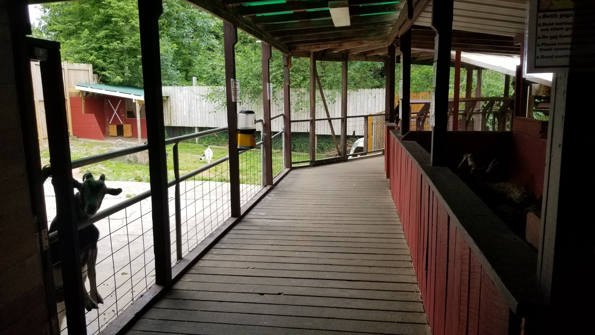 Pocono Snake&Animal Farm - left end of outside walkway