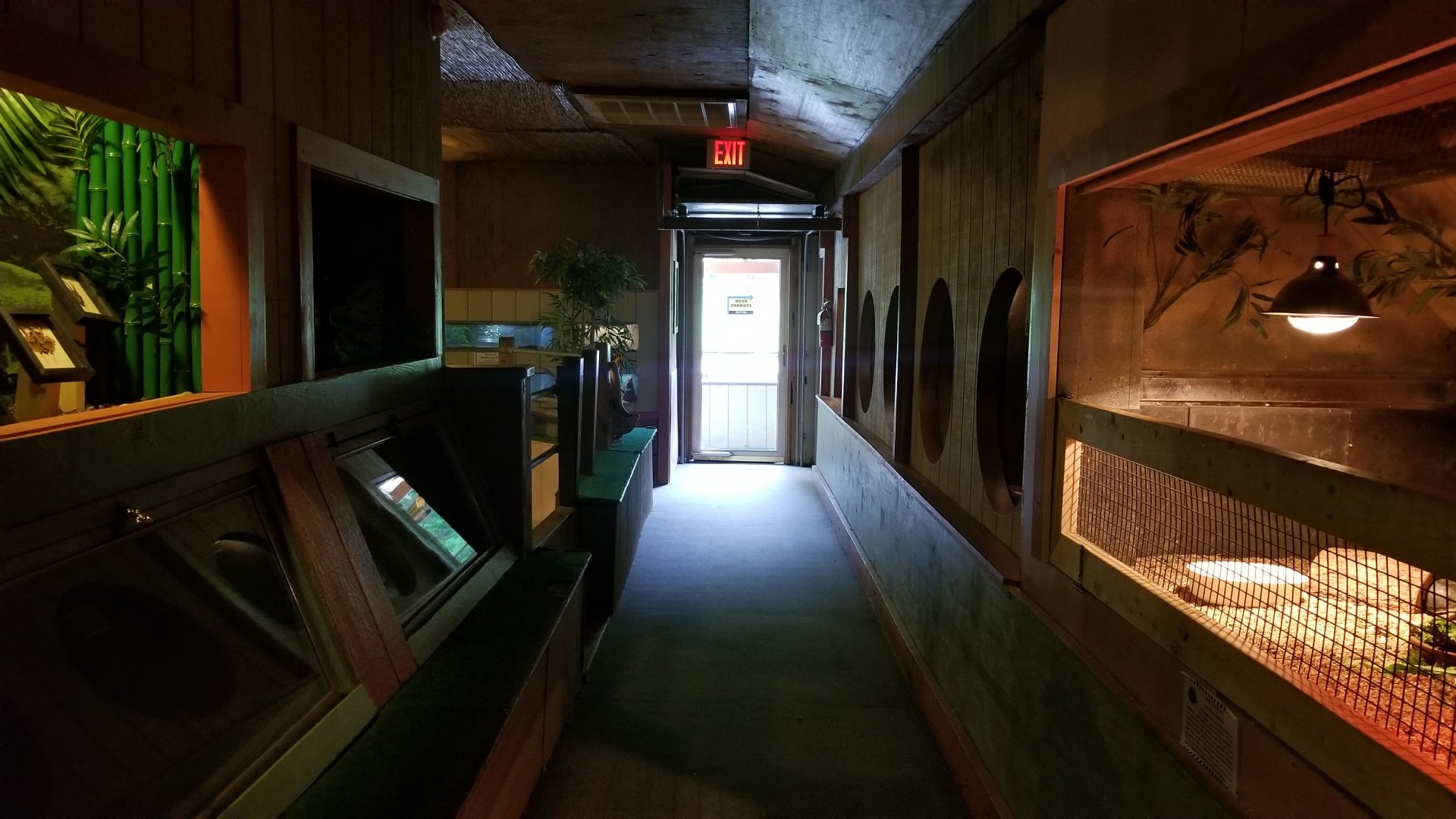 Pocono Snake&Animal Farm - One side of reptile room