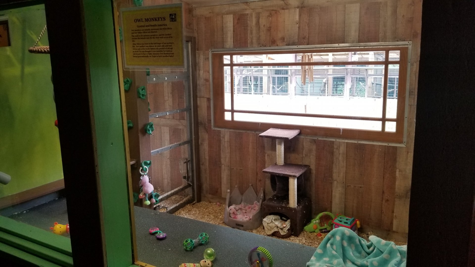Pocono Snake&Animal Farm - Owl Monkey exhibit