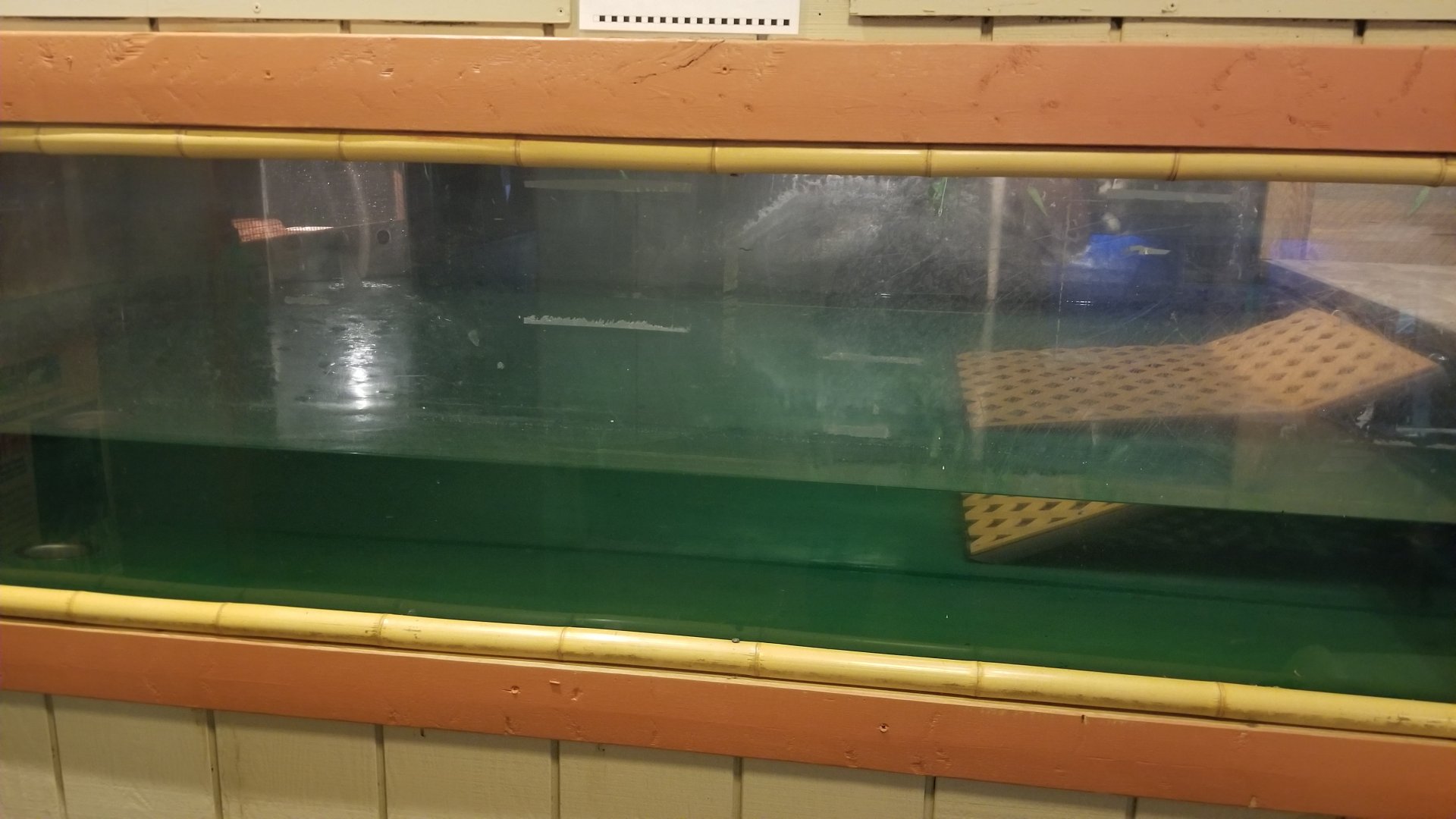 Pocono Snake&Animal Farm - Pickerel Fish