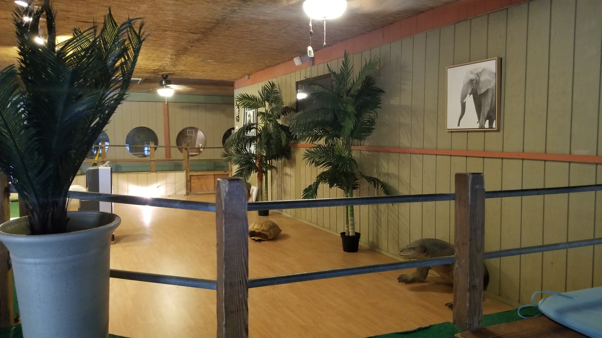 Pocono Snake&Animal Farm - Presentation area