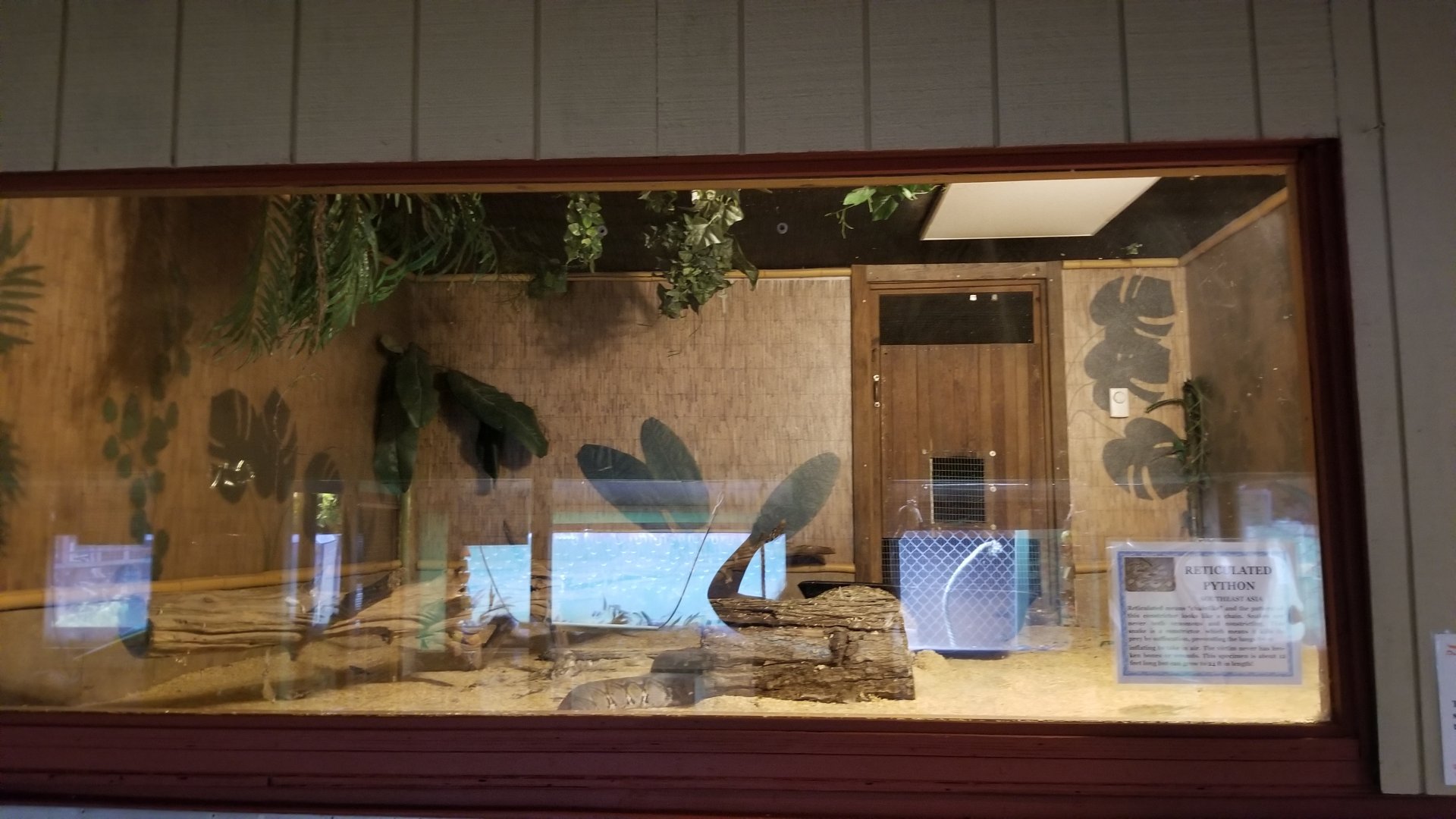 Pocono Snake&Animal Farm - Reticulated Python