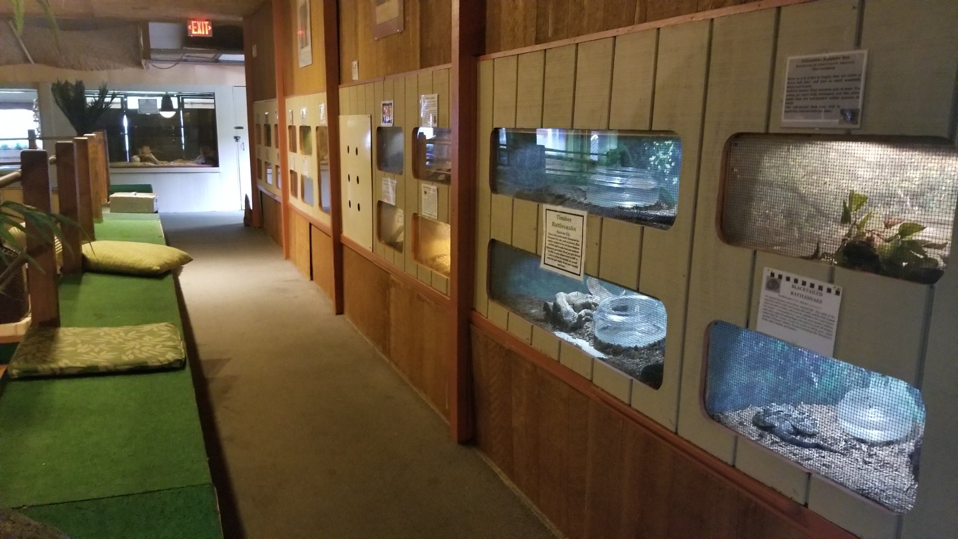 Pocono Snake&Animal Farm - second walkway in reptile room