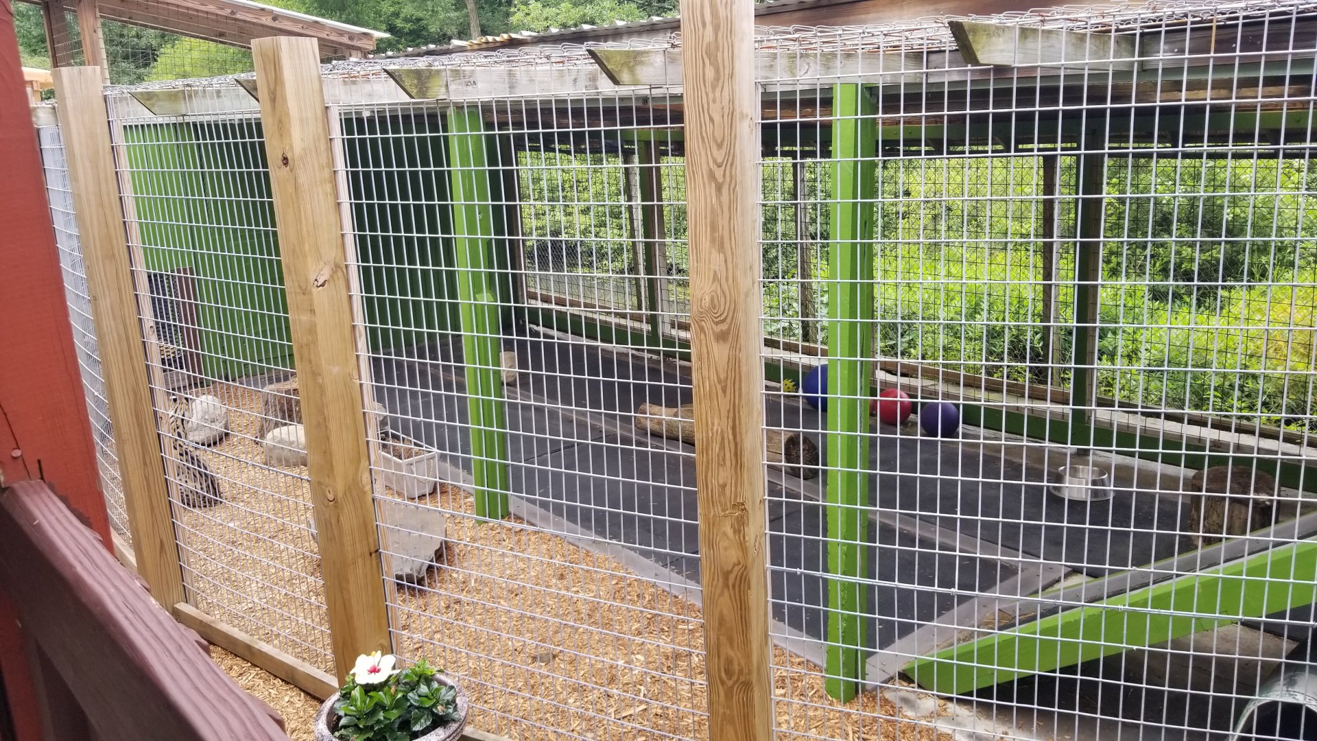 Pocono Snake&Animal Farm - Serval exhibit from other end