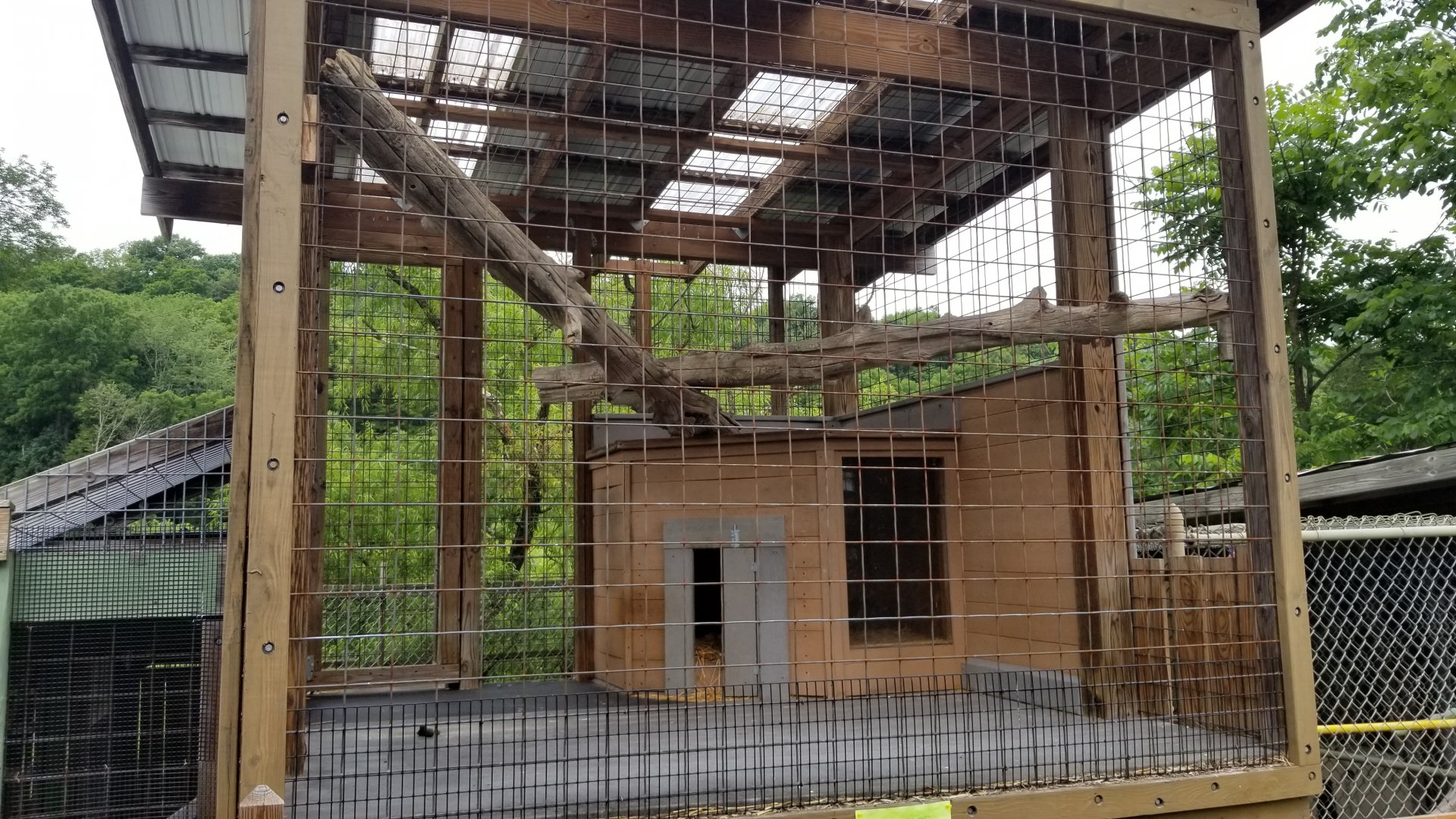 Pocono Snake&Animal Farm - Serval upper area