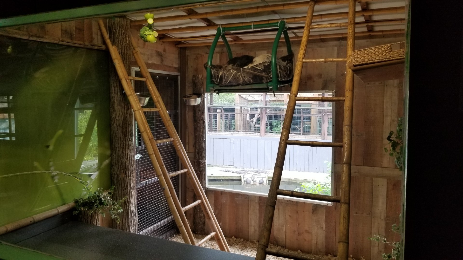 Pocono Snake&Animal Farm - Sloth