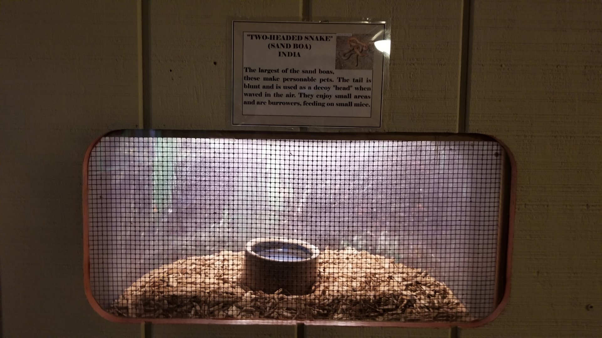 Pocono Snake&Animal Farm - Two-headed Sand Boa, empty