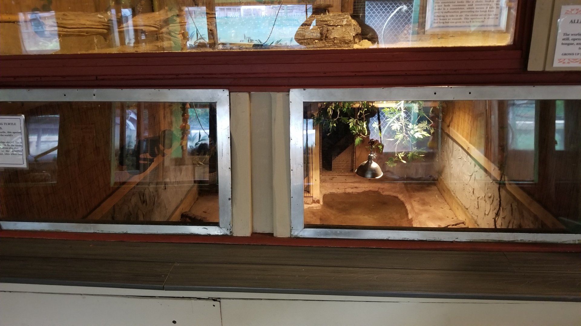 Pocono Snake&Animal Farm - Viewing windows for reticulated python, snapping turtle