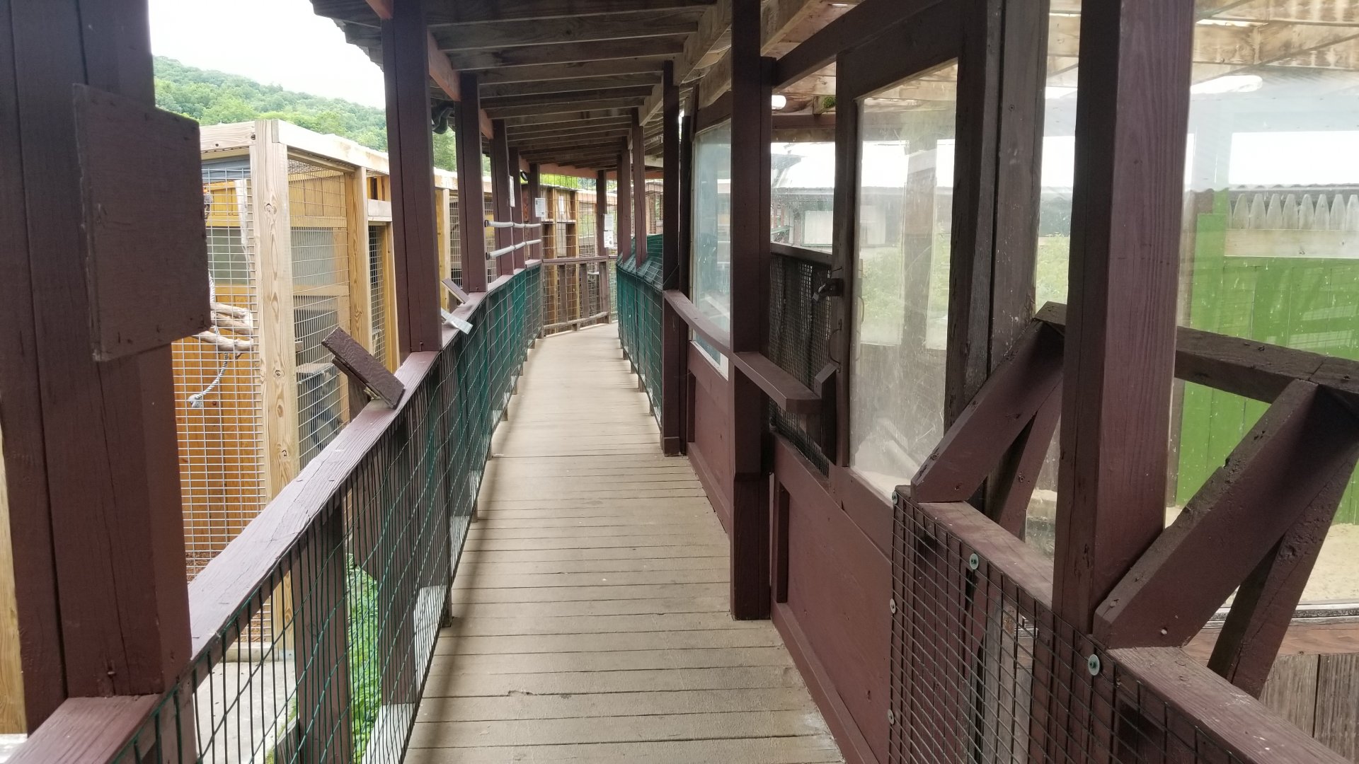 Pocono Snake&Animal Farm - Walkway, primates on left