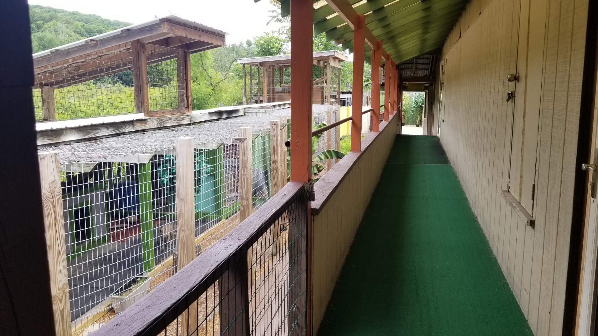 Pocono Snake&Animal Farm - Walkway to carnivores, birds