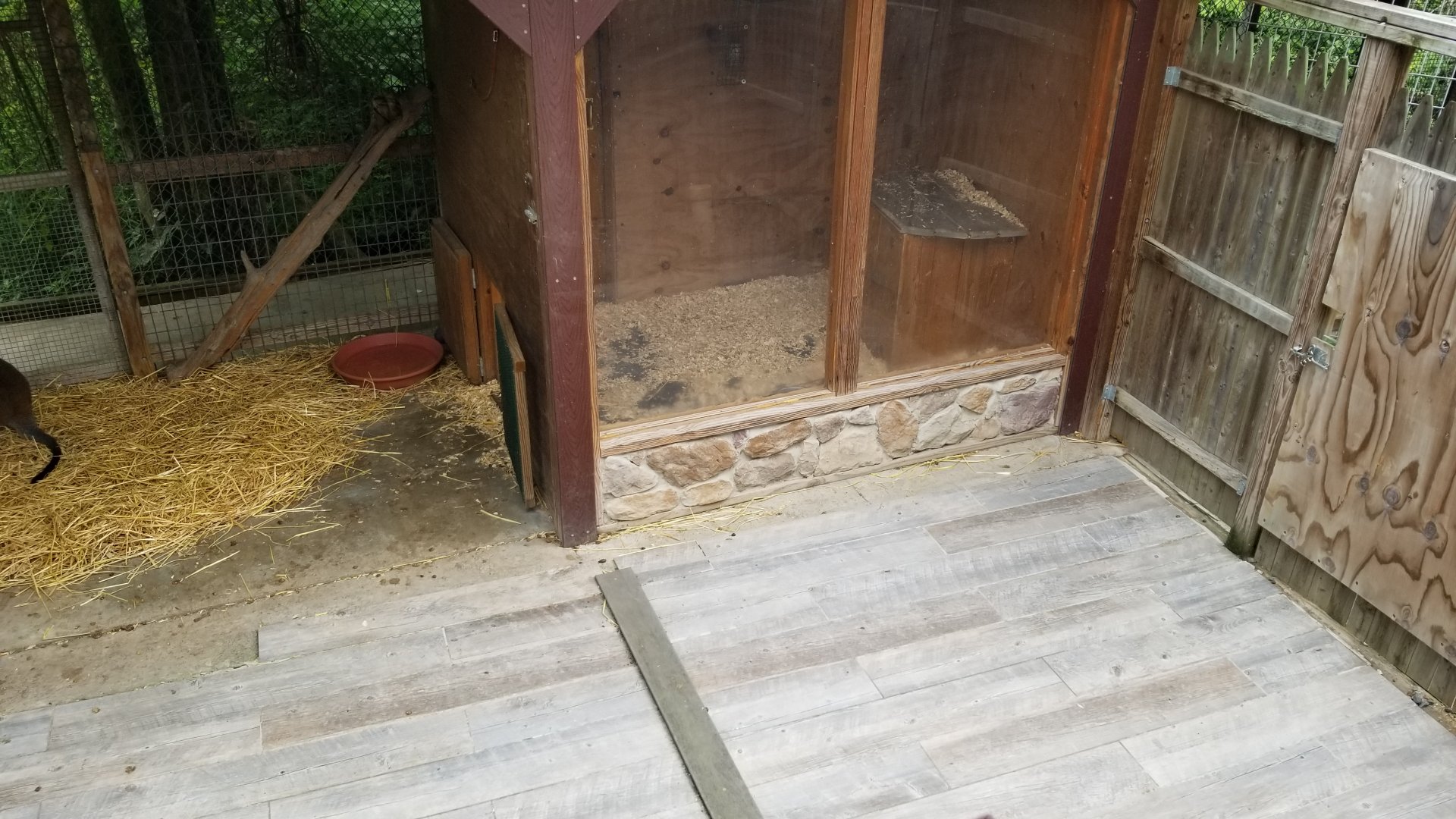 Pocono Snake&Animal Farm - wallaby indoor area