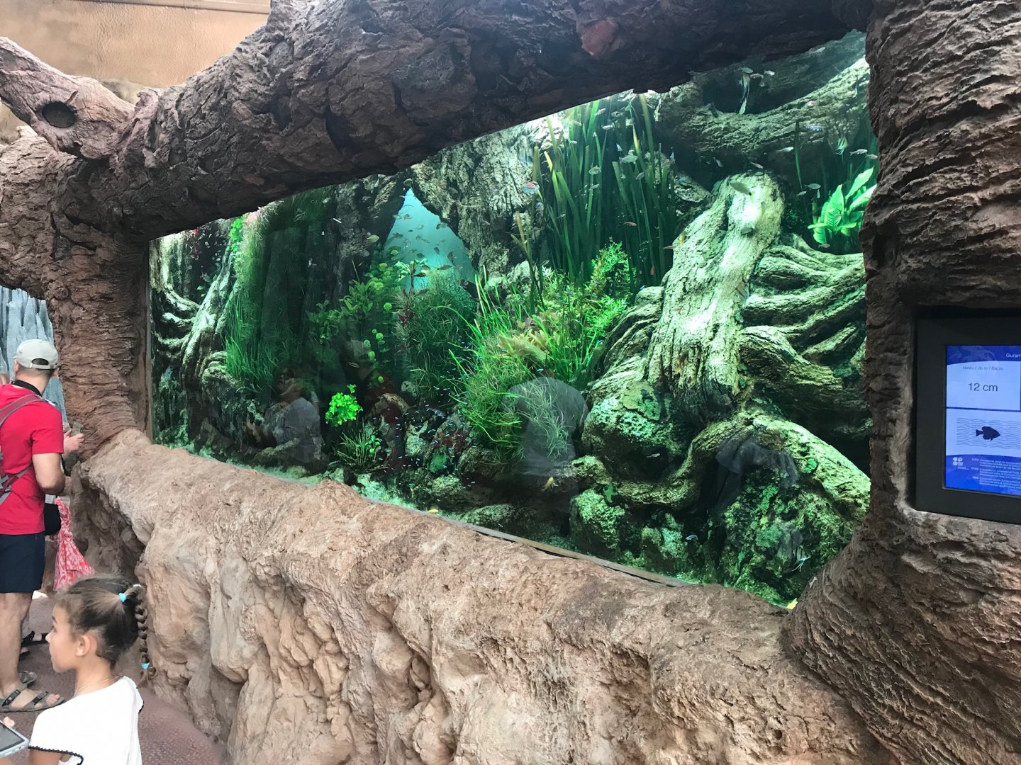 Poema Del Mar Aquarium