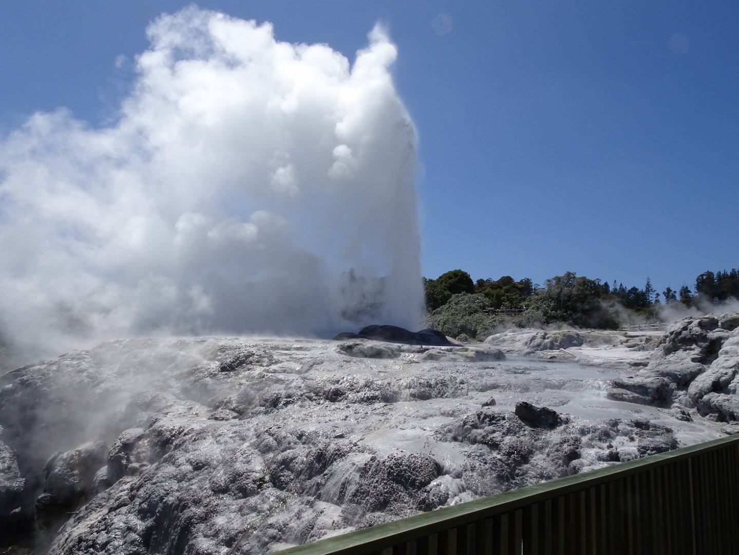 Pohotu geysir, New Zealand, November 2015