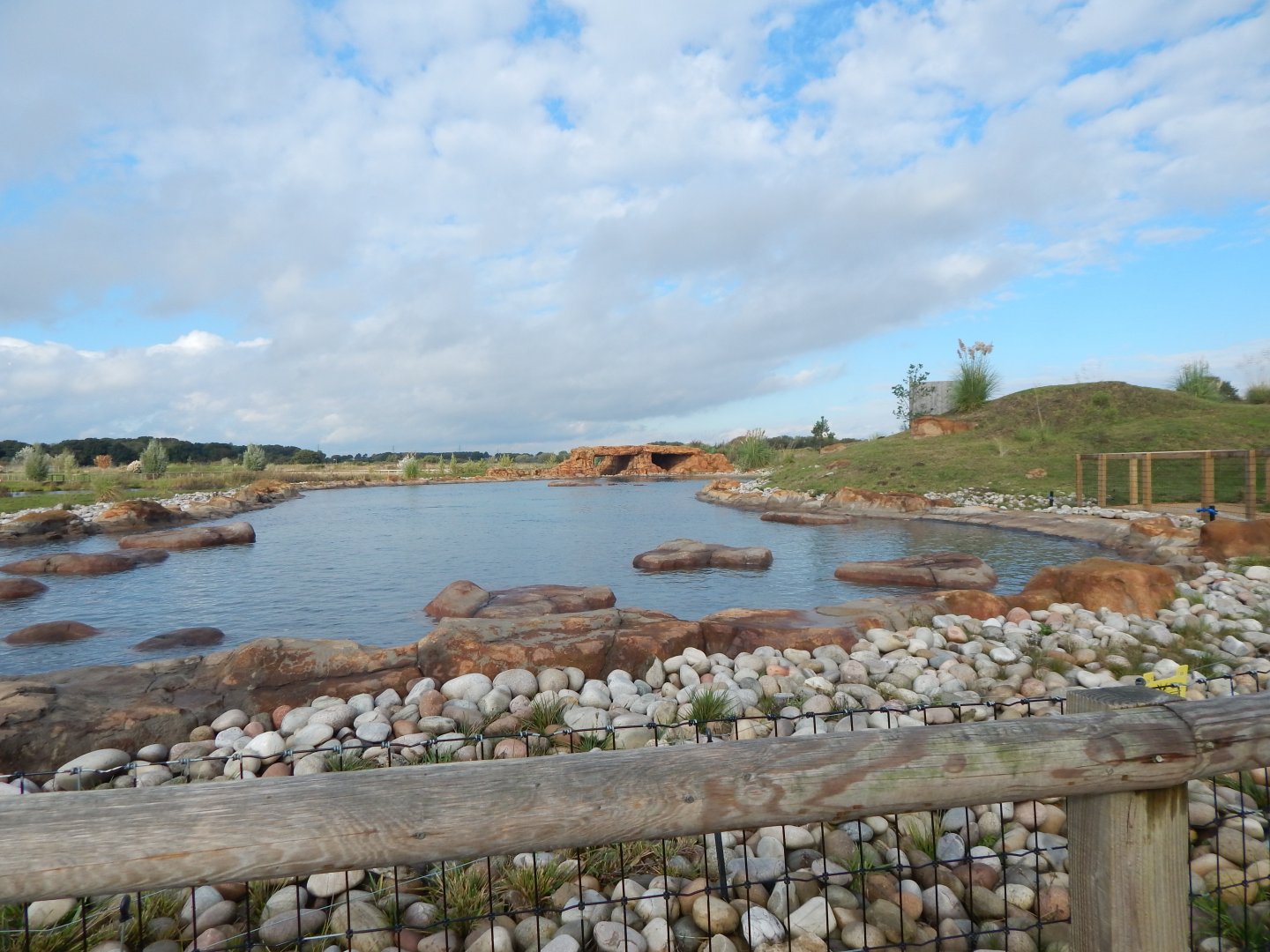 Point Lobos - California sealion habitat 121024