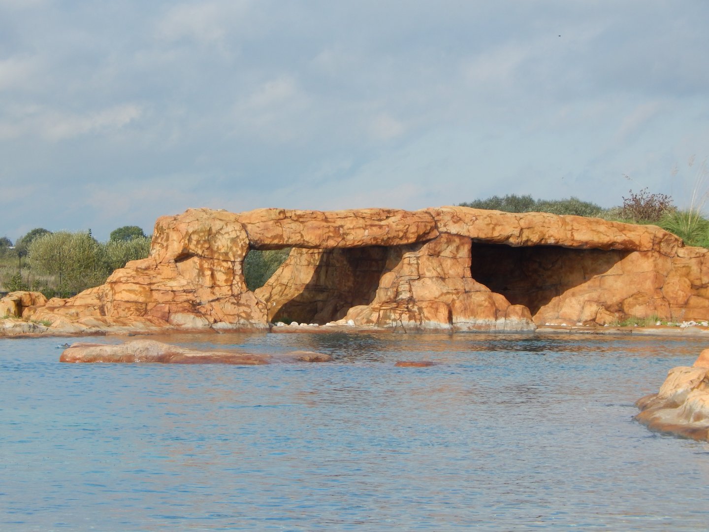 Point Lobos - California sealion habitat 121024