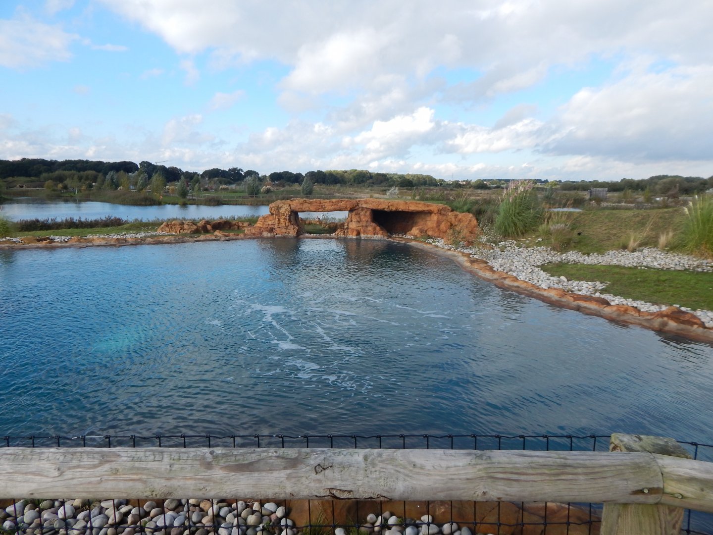 Point Lobos - California sealion habitat 121024