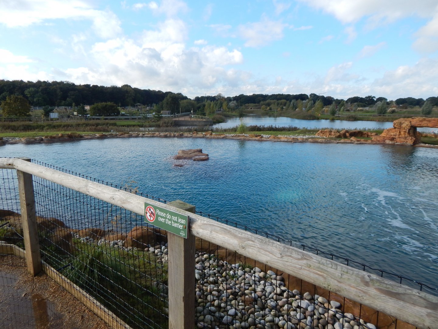 Point Lobos - California sealion habitat 121024
