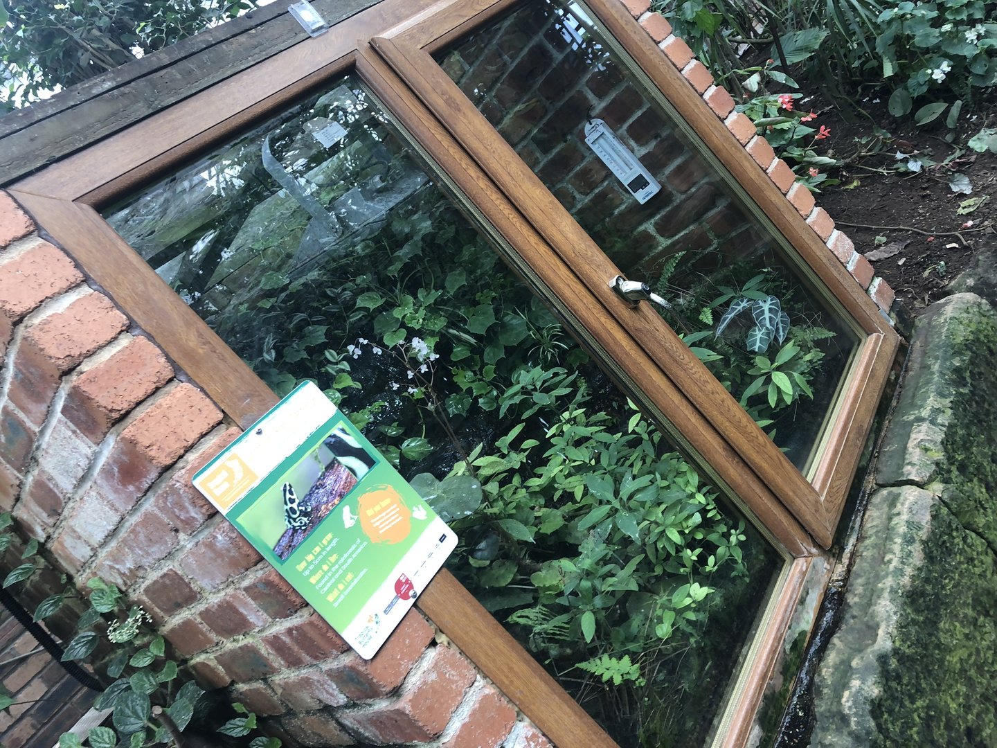 Poison Dart Frog Enclosure at Tropical Butterfly House (March 2023)