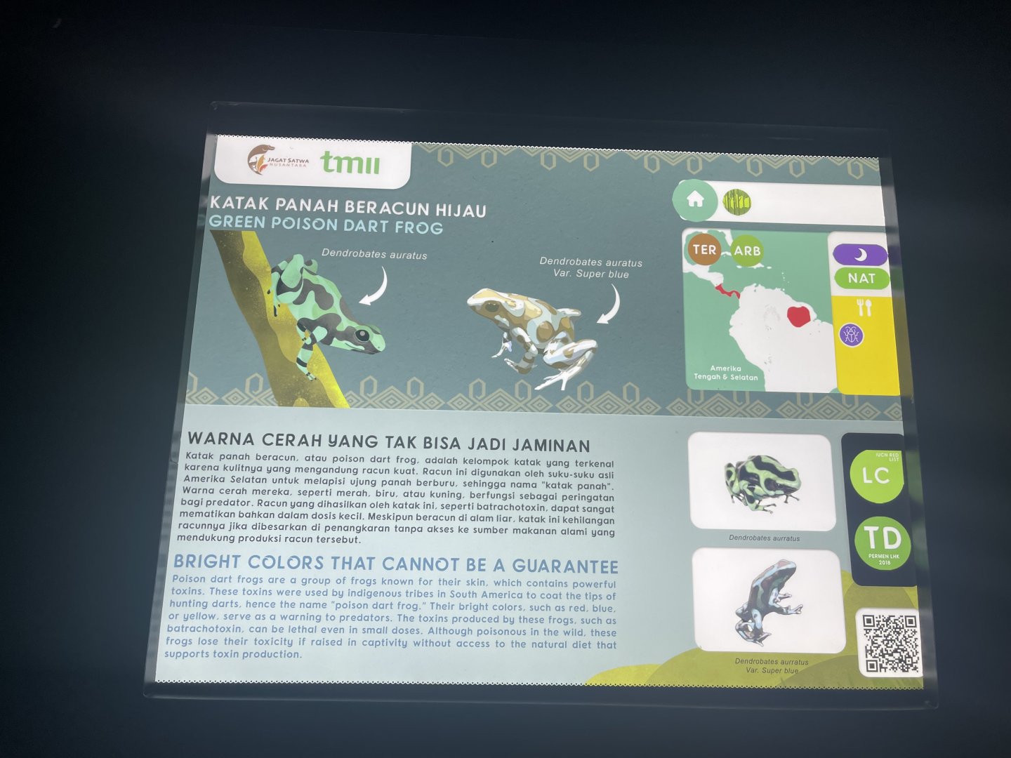 poison dart frog signage (1) - museum komodo