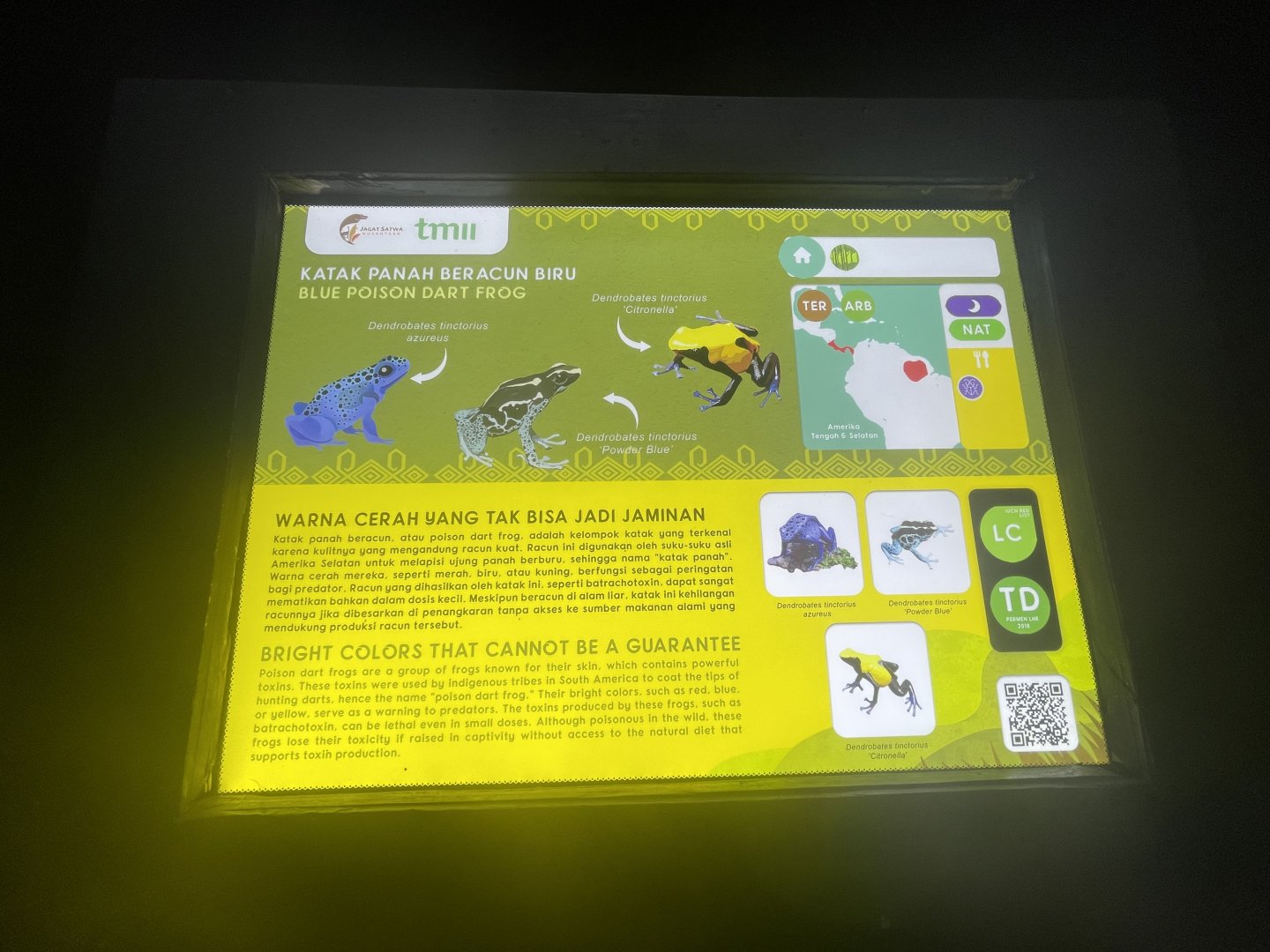 poison dart frog signage (2) - museum komodo