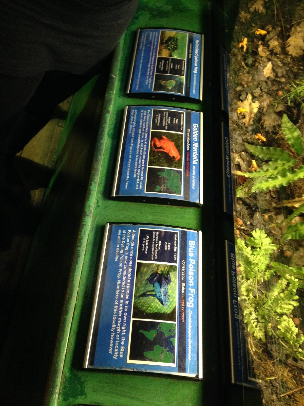 Poison Dart Frog Signage at Blue Planet Aquarium - 05/10/2013