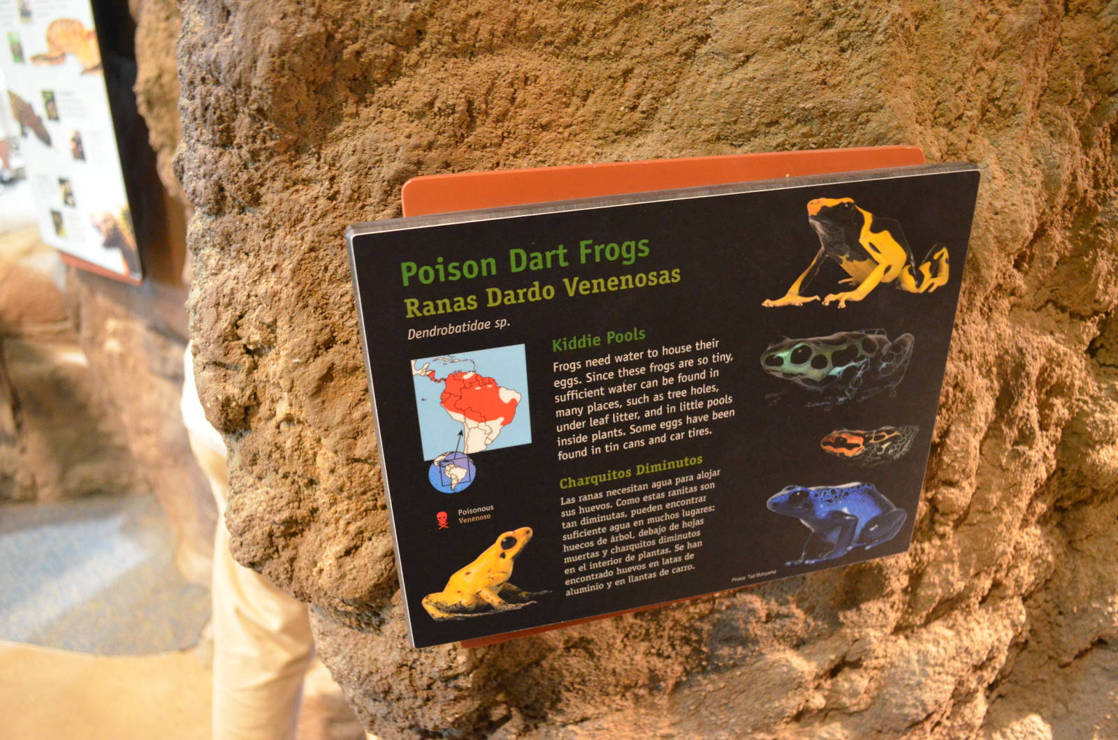 POISON DART FROG SIGNAGE