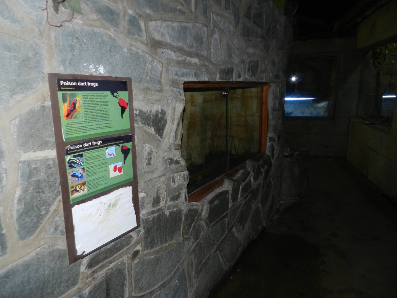 Poison Dart Frog Tank at Flamingo Land - 14/10/2012