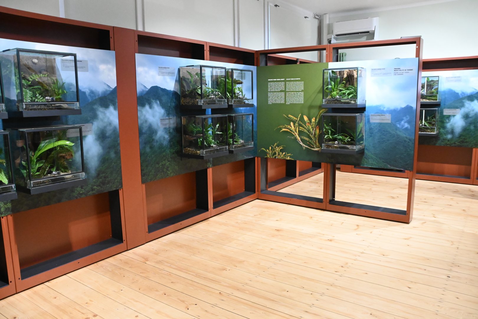 Poison Dart Frogs exhibiton