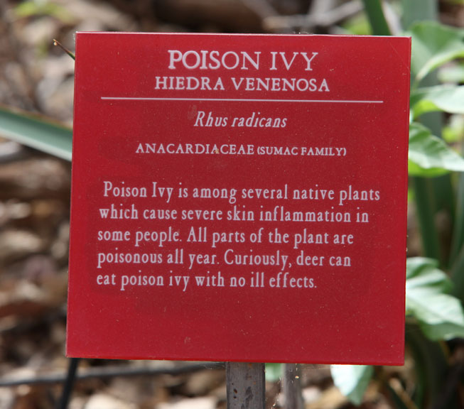 poison ivy sign