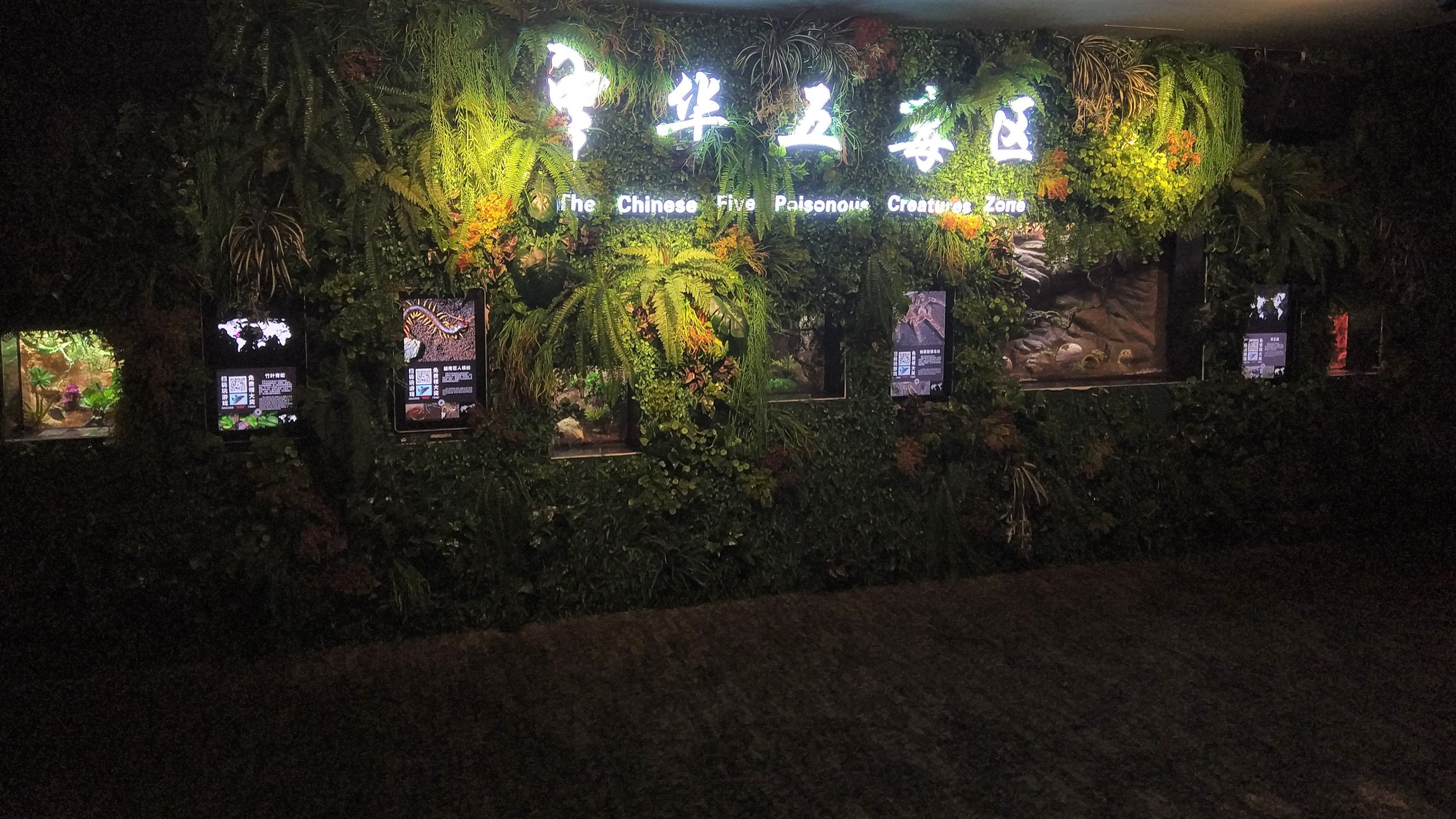 Poisonous Creatures Terraria