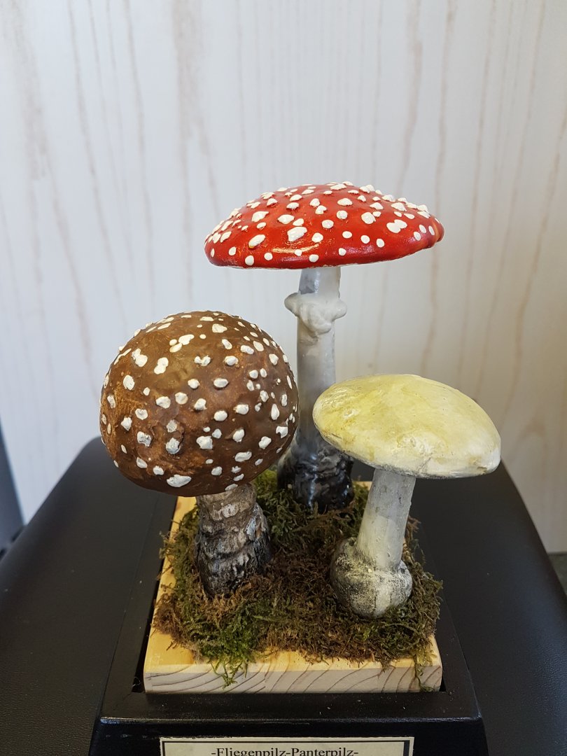 Poisonous mushroom models