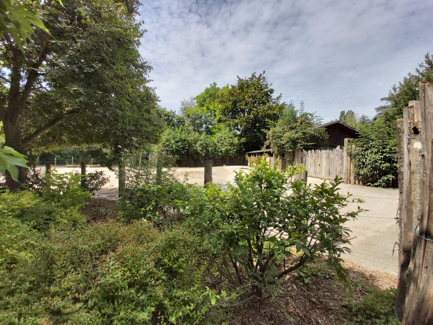 Poitou donkey enclosure (in the children farm)